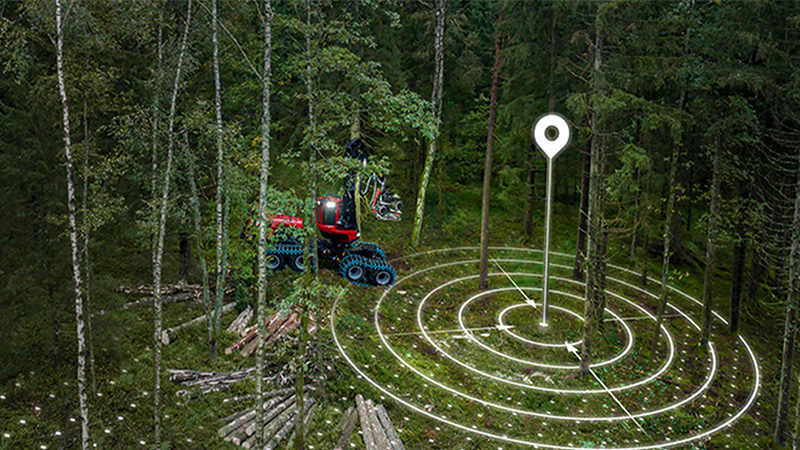 Forest Router Smart forestry: technology propels efforts to curb disease and promote ...