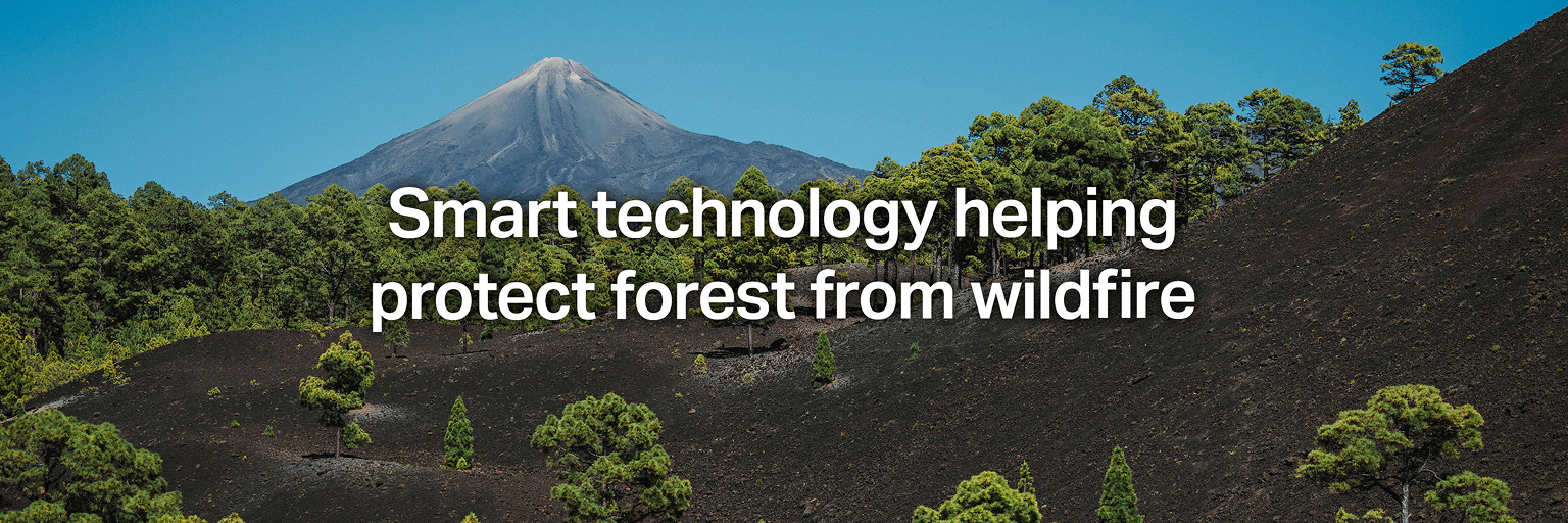 Smart Technology helping protect forest from wildfire