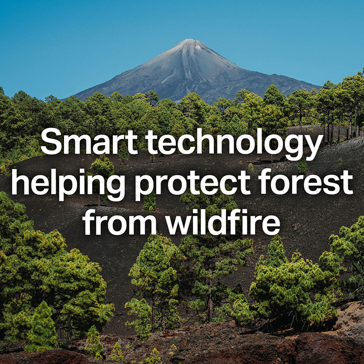 Smart Technology helping protect forest from wildfire
