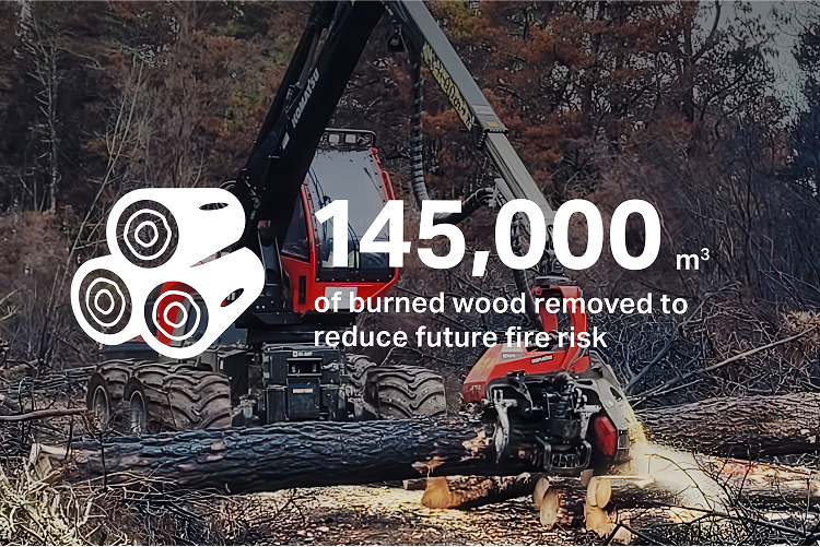 145,000㎥ of burned wood remoned to reduce future fire risk