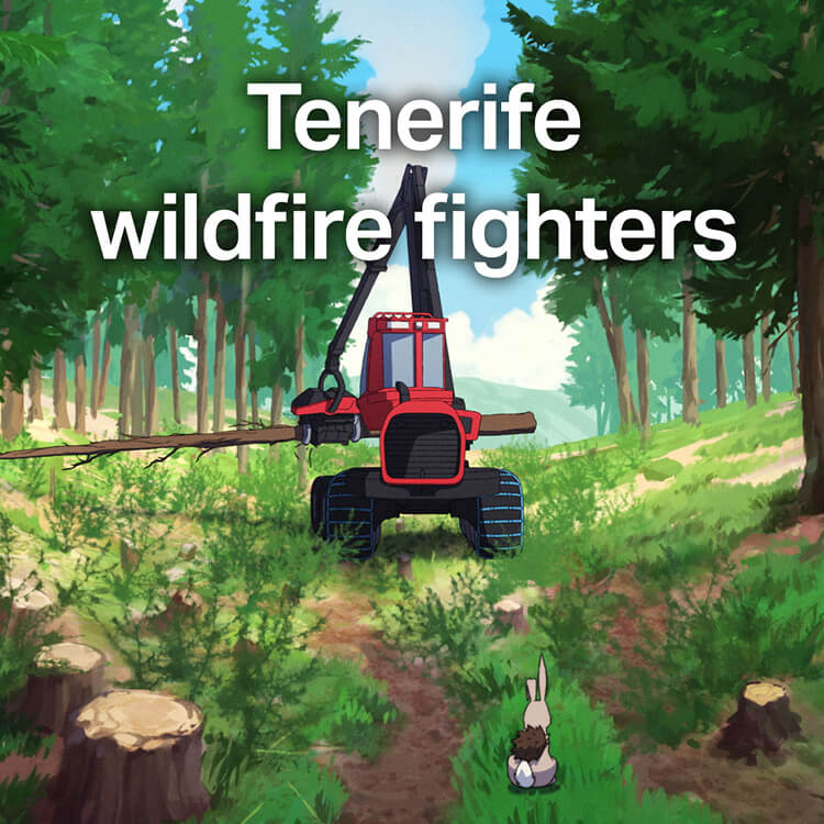 Tenerife wildfire fighters