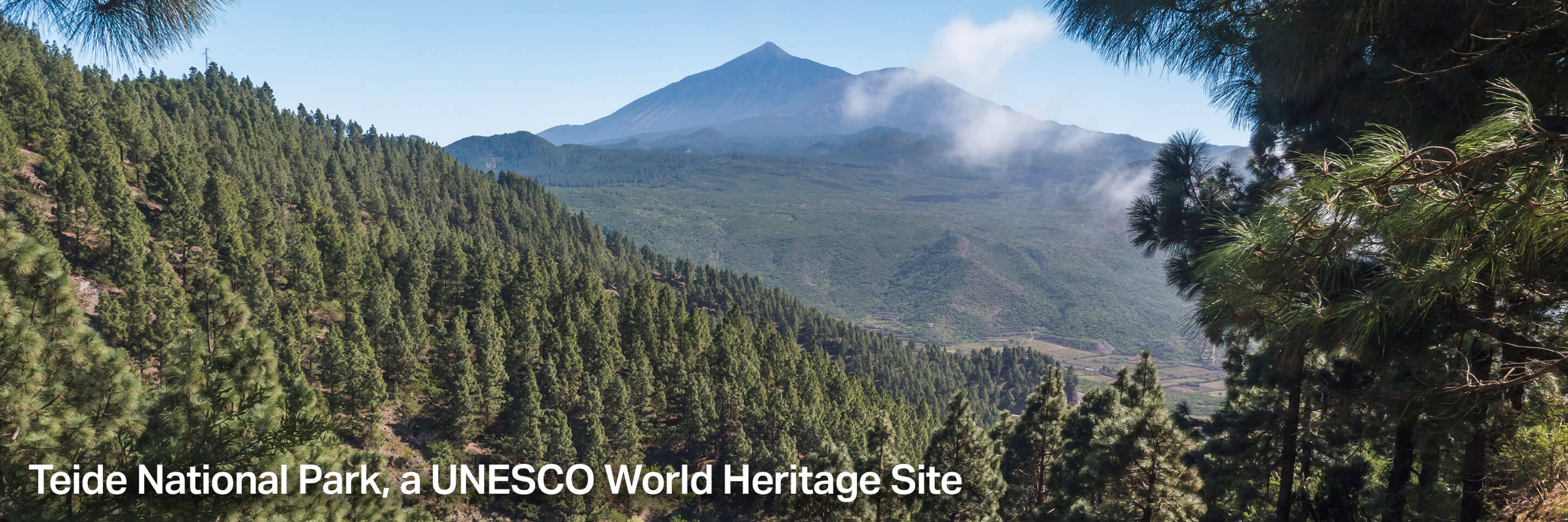 Teide National Park, a UNESCO World Heritage Site