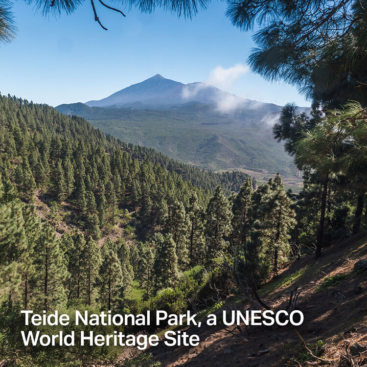 Teide National Park, a UNESCO World Heritage Site