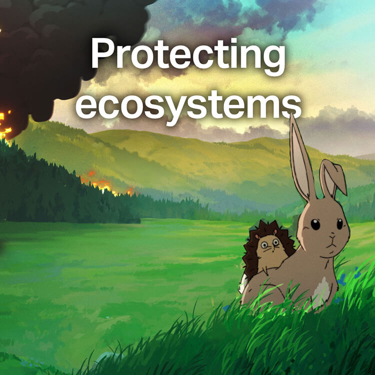 Protecting ecosystems