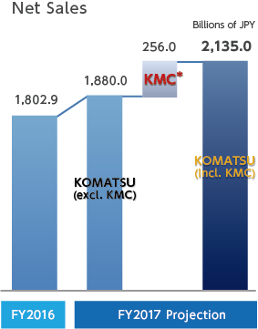 Net Sales