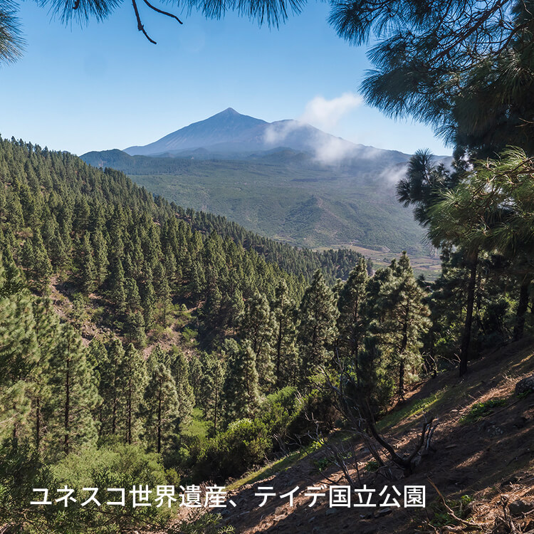 ユネスコ世界遺産、テイデ国立公園