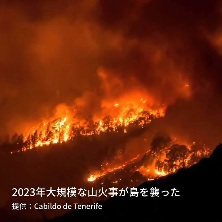 2023年大規模な山火事が島を襲った