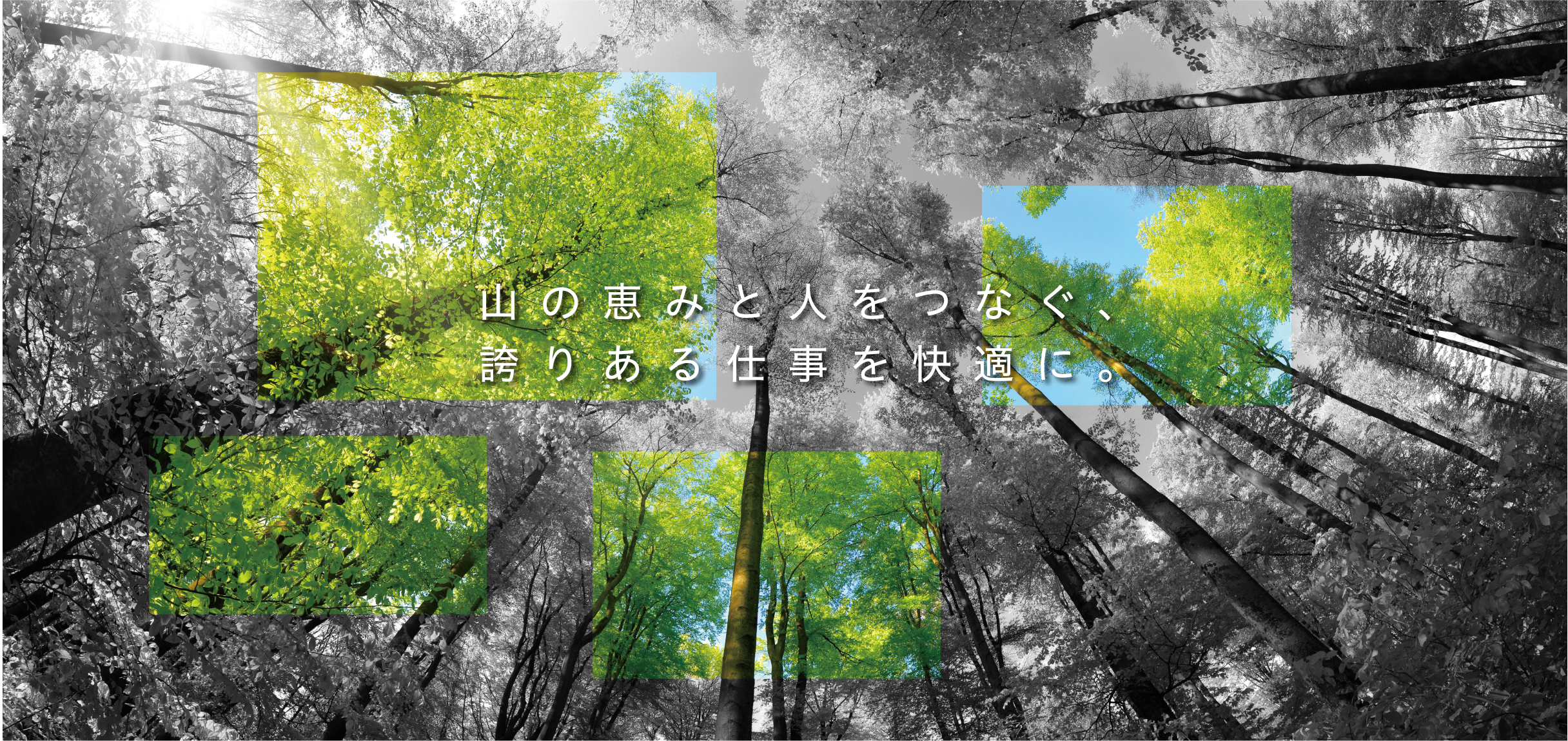 山の恵みと人をつなぐ、誇りある仕事を快適に。